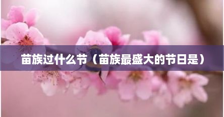苗族过什么节（苗族最盛大的节日是）