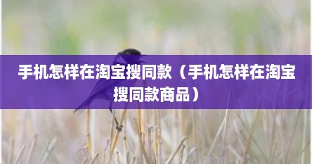 手机怎样在淘宝搜同款（手机怎样在淘宝搜同款商品）