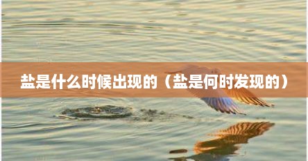 盐是什么时候出现的（盐是何时发现的）