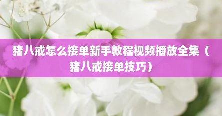 猪八戒怎么接单新手教程视频播放全集（猪八戒接单技巧）