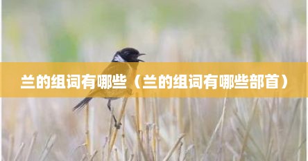兰的组词有哪些（兰的组词有哪些部首）