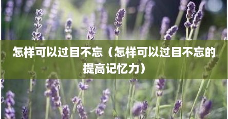 怎样可以过目不忘（怎样可以过目不忘的提高记忆力）