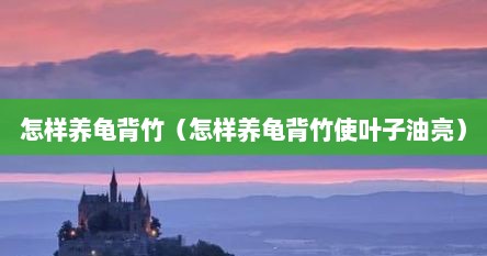 怎样养龟背竹（怎样养龟背竹使叶子油亮）