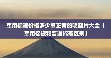 军用棉被价格多少算正常的呢图片大全（军用棉被和普通棉被区别）