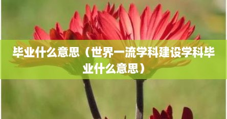 毕业什么意思（世界一流学科建设学科毕业什么意思）