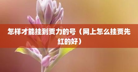 怎样才能挂到贾力的号（网上怎么挂贾先红的好）