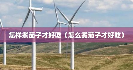 怎样煮茄子才好吃(怎么煮茄子才好吃)