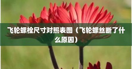飞轮螺栓尺寸对照表图（飞轮螺丝断了什么原因）