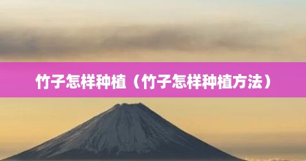 竹子怎样种植（竹子怎样种植方法）