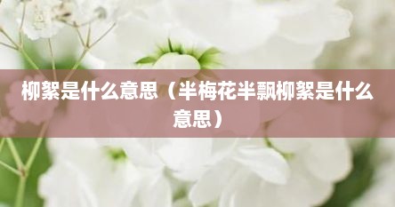 柳絮是什么意思（半梅花半飘柳絮是什么意思）
