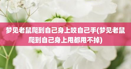 梦见老鼠爬到自己身上咬自己手(梦见老鼠爬到自己身上甩都甩不掉)