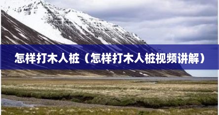 怎样打木人桩（怎样打木人桩视频讲解）