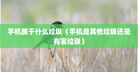 手机属于什么垃圾（手机是其他垃圾还是有害垃圾）