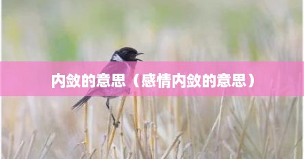内敛的意思（感情内敛的意思）