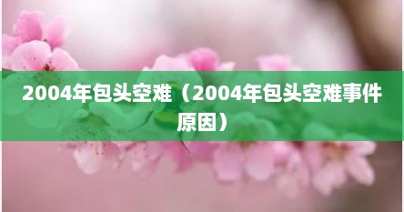 2004年包头空难（2004年包头空难事件原因）