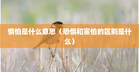 惧怕是什么意思（恐惧和害怕的区别是什么）