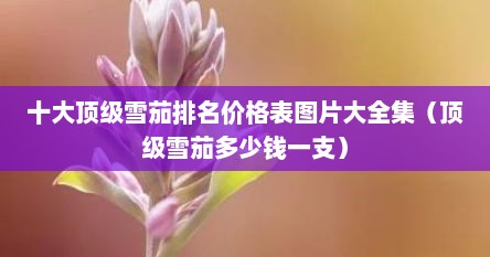 十大顶级雪茄排名价格表图片大全集（顶级雪茄多少钱一支）