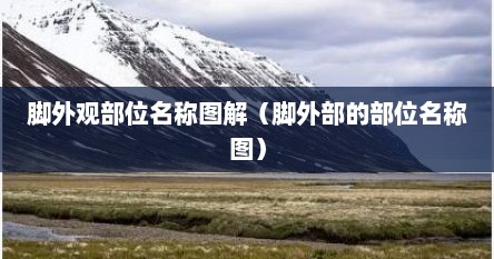 脚外观部位名称图解（脚外部的部位名称图）