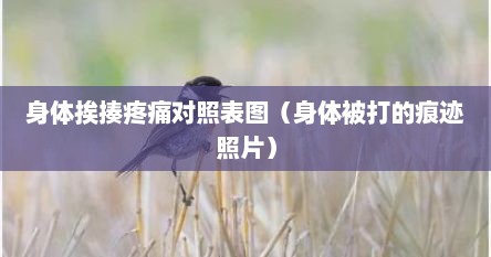 身体挨揍疼痛对照表图（身体被打的痕迹照片）