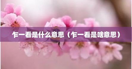 乍一看是什么意思（乍一看是啥意思）