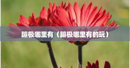 蹦极哪里有（蹦极哪里有的玩）