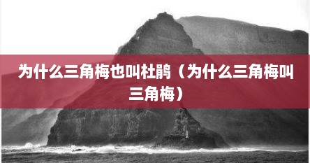 为什么三角梅也叫杜鹃（为什么三角梅叫三角梅）