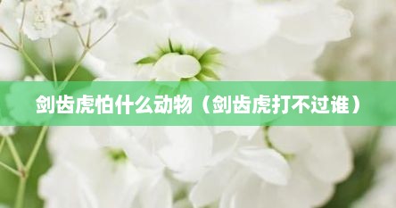 剑齿虎怕什么动物(剑齿虎打不过谁) 剑齿虎怕什么动物(剑齿虎打不过谁)