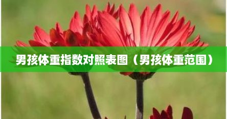 男孩体重指数对照表图（男孩体重范围）