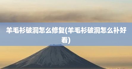 羊毛衫破洞怎么修复(羊毛衫破洞怎么补好看)