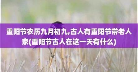 重阳节农历九月初九,古人有重阳节带老人家(重阳节古人在这一天有什么)