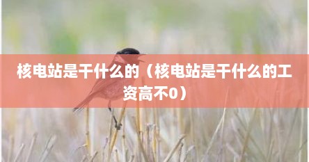 核电站是干什么的（核电站是干什么的工资高不0）