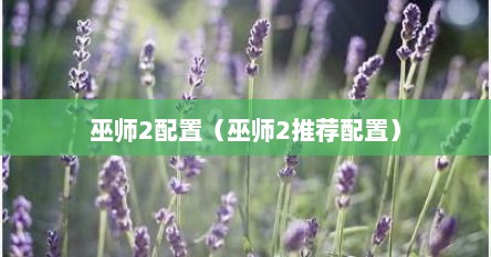 巫师2配置（巫师2推荐配置）