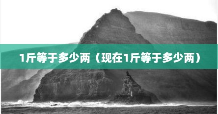 1斤等于多少两（现在1斤等于多少两）