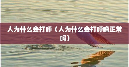 人为什么会打呼（人为什么会打呼噜正常吗）