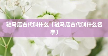 驻马店古代叫什么（驻马店古代叫什么名字）