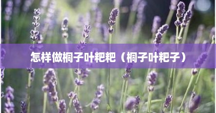 怎样做桐子叶粑粑（桐子叶粑子）