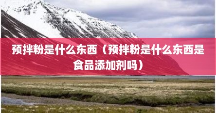 预拌粉是什么东西（预拌粉是什么东西是食品添加剂吗）