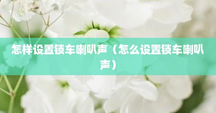 怎样设置锁车喇叭声（怎么设置锁车喇叭声）