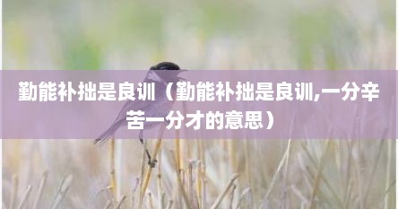 勤能补拙是良训(勤能补拙是良训,一分辛苦一分才的意思) 勤能补拙是良训(勤能补拙是良训,一分辛苦一分才的意思)