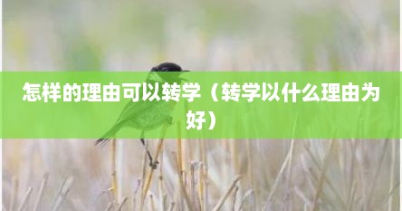 怎样的理由可以转学（转学以什么理由为好）