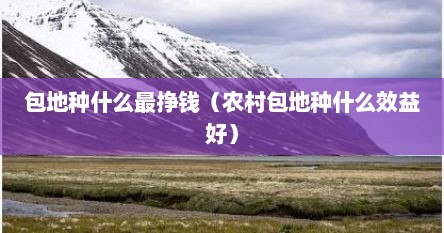 包地种什么最挣钱（农村包地种什么效益好）