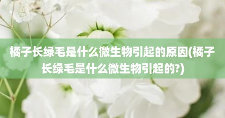 橘子长绿毛是什么微生物引起的原因(橘子长绿毛是什么微生物引起的?)