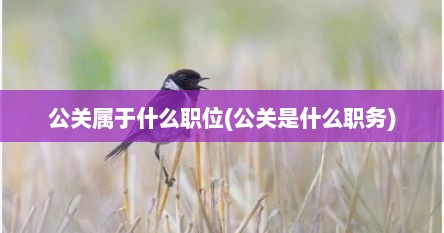 公关属于什么职位(公关是什么职务)