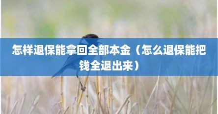 怎样退保能拿回全部本金（怎么退保能把钱全退出来）