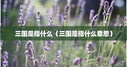 三围是指什么（三围是指什么意思）