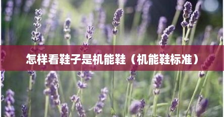 怎样看鞋子是机能鞋（机能鞋标准）