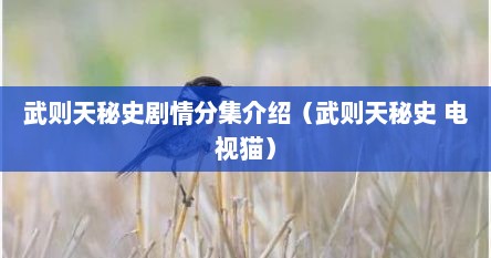 武则天秘史剧情分集介绍（武则天秘史 电视猫）