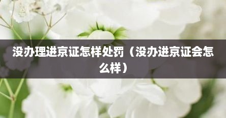 没办理进京证怎样处罚（没办进京证会怎么样）