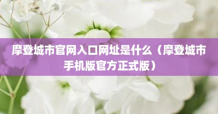 摩登城市官网入口网址是什么（摩登城市手机版官方正式版）