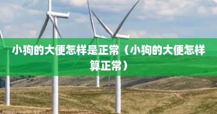 小狗的大便怎样是正常（小狗的大便怎样算正常）